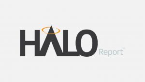 Halo report logo